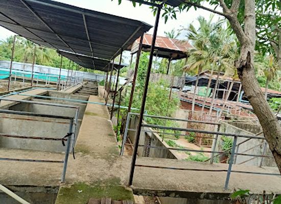cambodia/battambang/landmark/battambang-crocodile-farm
