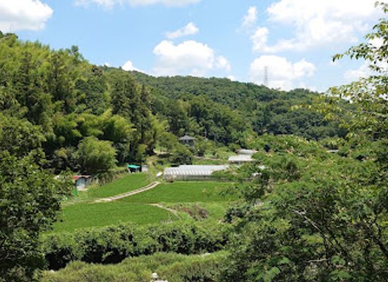 japan/chikuzen/landmark/settsukyo-park
