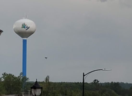 minnesota/ely/landmark/insula-restaurant