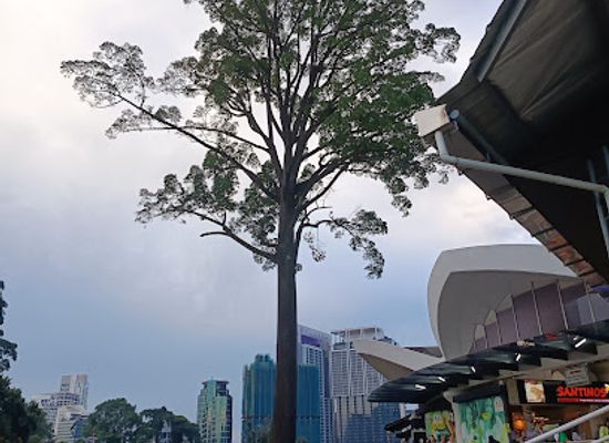 malaysia/kuala-lumpur/klcc/landmark/the-jelutong-tree