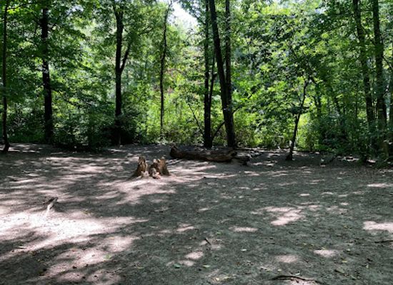 belgium/louvain-la-neuve/landmark/escavee-woods
