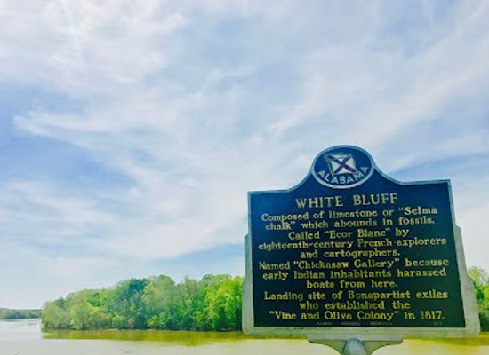alabama/black-belt/landmark/white-bluff-historical-marker