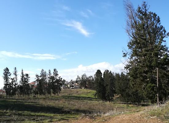 israel/hadera/landmark/sheikh-hilu-historical-site