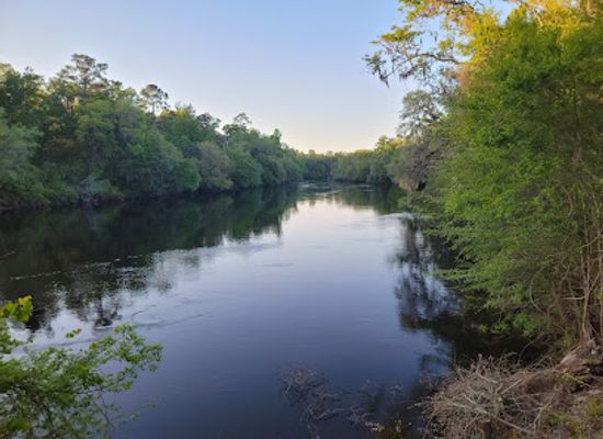 florida/suwannee-river/landmark/suwannee-river-state-park