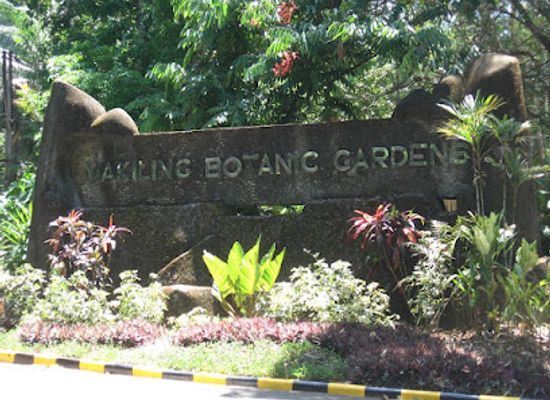 philippines/calabarzon/landmark/makiling-botanic-gardens