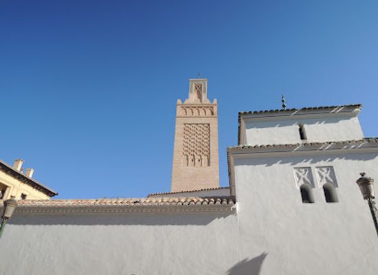 algeria/tlemcen-region/landmark/museum-of-art-and-history-the-city-of-tlemcen