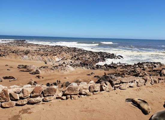namibia/hardap/landmark/cape-cross-seal-reserve