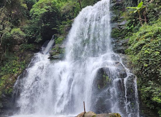 thailand/doi-inthanon/landmark/pha-dok-sieo-nature-trail
