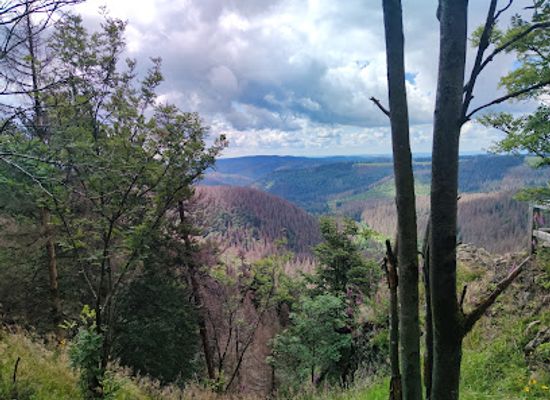 germany/harz-national-park/landmark/hahnenklee-crags