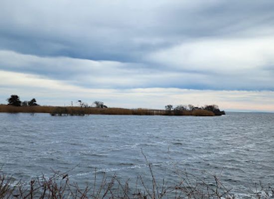 rhode-island/trustom-pond-national-wildlife-refuge/landmark/trustom-pond