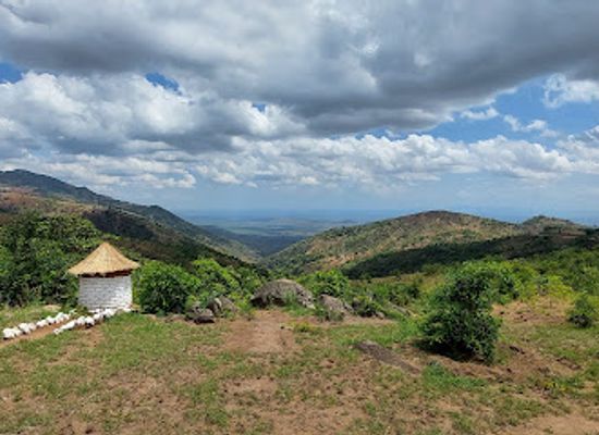 malawi/dedza-highlands/landmark/dedza-salima-forest-reserve