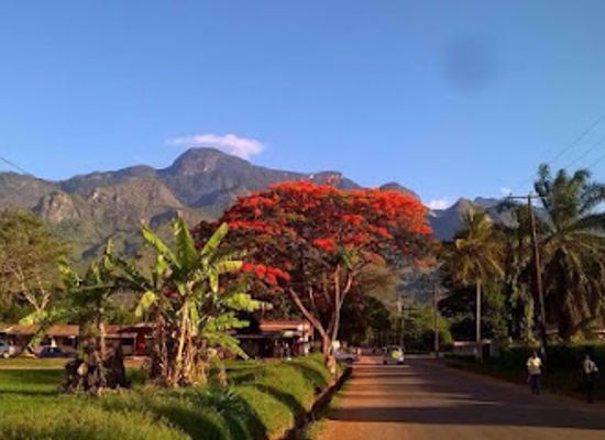 tanzania/morogoro/landmark/africasana-tours-and-safaris-company