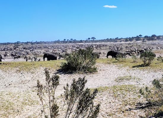 botswana/kalahari-desert/landmark/makgadikgadi-pans-national-park