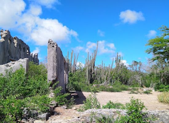 curacao/mahaai/landmark/christoffel-national-park