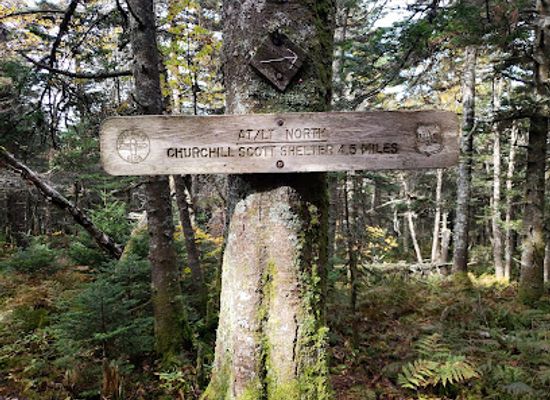 vermont/rutland-county/landmark/coolidge-state-forest