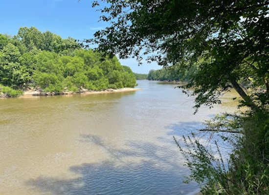 south-carolina/pee-dee/landmark/great-pee-dee-heritage-preserve