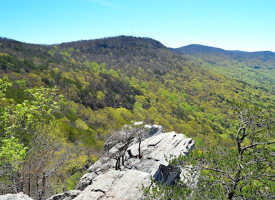 alabama/appalachian-mountains/landmark/cheaha-mountain