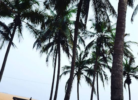 togo/lome/landmark/lome-beach-face-ibis-hotel