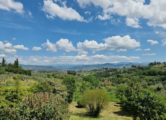 italy/valdarno/landmark/trattoria-omero