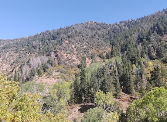 utah/uinta-wasatch-cache-national-forest/landmark/uinta-national-forest