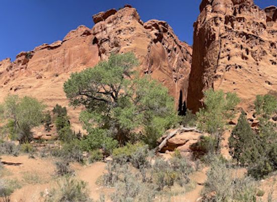 utah/escalante/landmark/singing-canyon