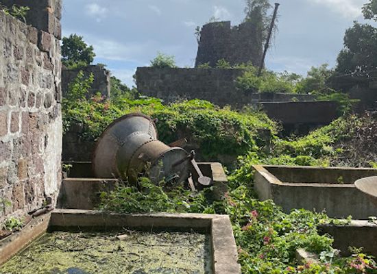 saint-kitts-and-nevis/newcastle/landmark/hamilton-estate-plantation