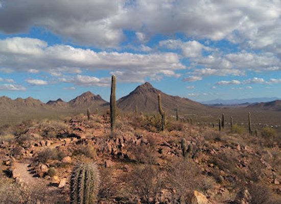 arizona/tucson-mountain-park/landmark/brown-mountain-trail-picnic-area-and-trailhead