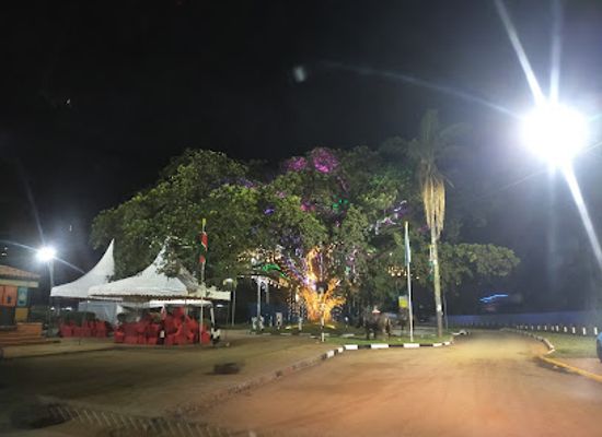 kenya/nairobi/westlands/landmark/iconic-fig-tree-westlands