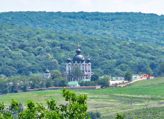 moldova/hotin-county/landmark/curchi-monastery