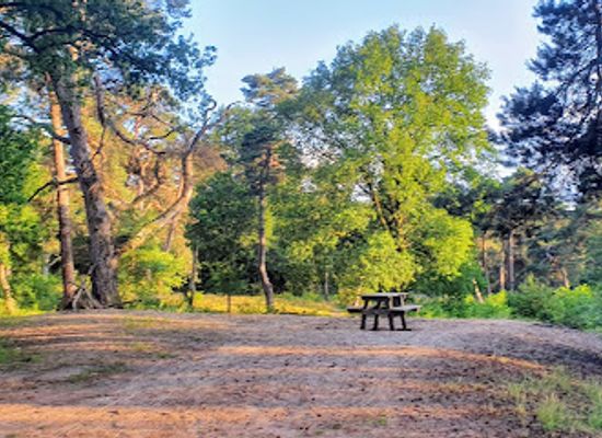 netherlands/veluwe-national-park/landmark/the-paradise
