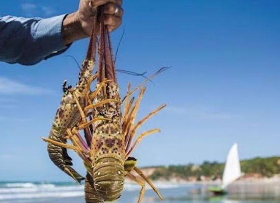 cabo-verde/espargos/landmark/vip-cape-verde