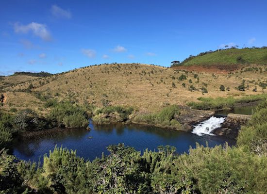 sri-lanka/horton-plains-national-park/landmark/horton-plains-camp-site-2