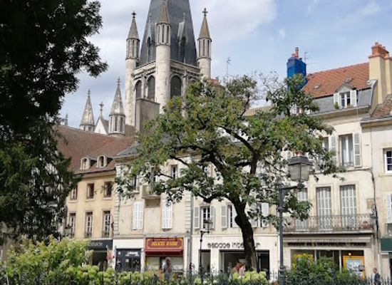 france/dijon/landmark/dukes-square