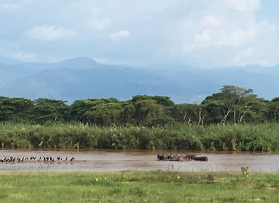 burundi/munyika/landmark/rusizi-national-park