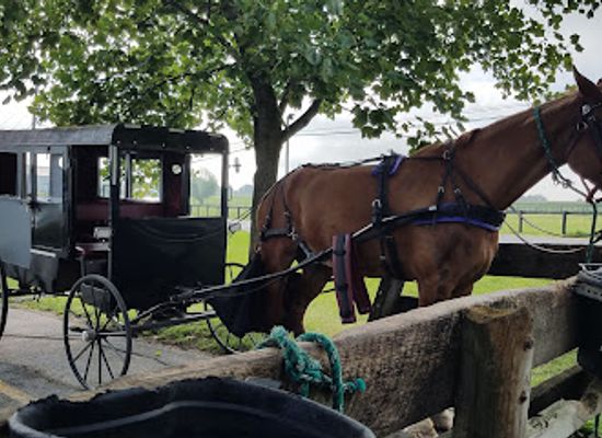 pennsylvania/amish-country/landmark/aaron-and-jessica-s-buggy-rides