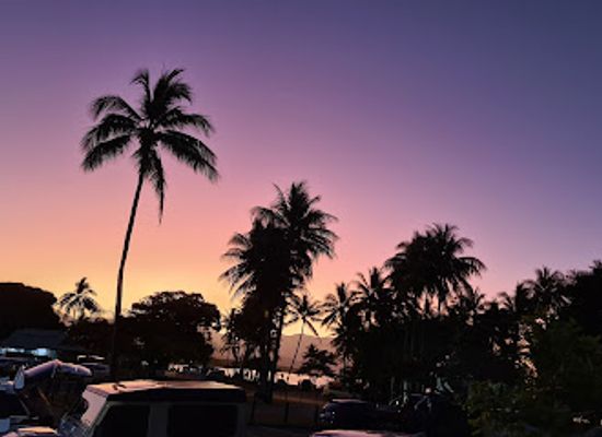 australia/port-douglas/landmark/melaleuca