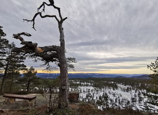 norway/buskerud/landmark/gamle-klunken
