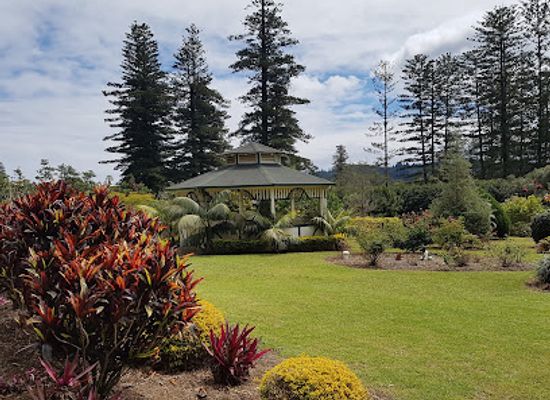 norfolk-island/stockyard-valley/landmark/hilli-restaurant-cafe