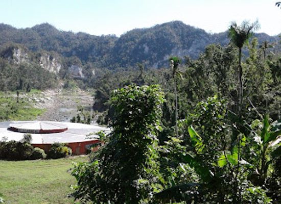 puerto-rico/la-cordillera-central/landmark/bosque-estatal-de-rio-abajo