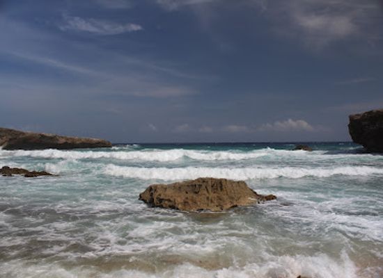 aruba/santa-cruz/landmark/andicuri-beach
