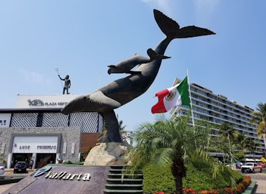 mexico/puerto-vallarta/marina-vallarta/landmark/vallarta-whale
