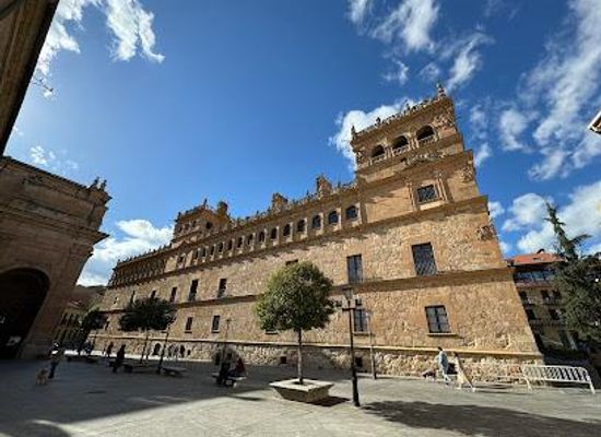 spain/salamanca/landmark/pl-de-monterrey-2
