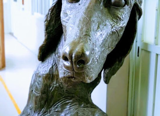 japan/chikugo/landmark/kyoseinosato-kurokawa-inn-museum