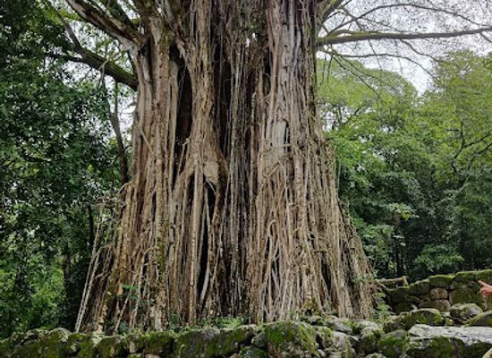 french-polynesia/nuku-hiva/landmark/ensemble-tahakia-kamuihei-teiipoka