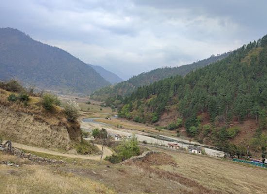 india/tawang/landmark/sangti-valley-sheep-farm