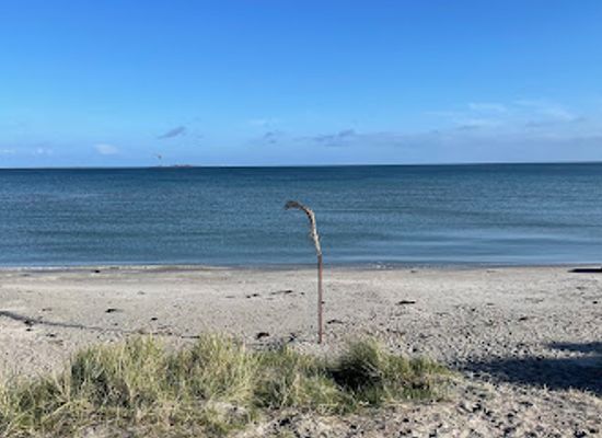 denmark/frederikshavn/attraction/palmestranden