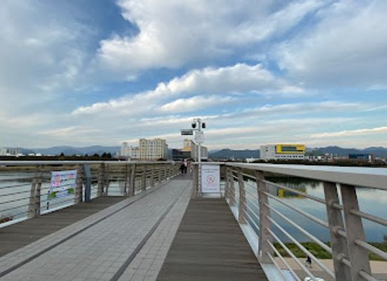 south-korea/daegu/landmark/ayang-railroad-bridge