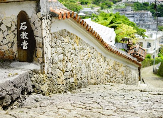 japan/okinawa/landmark/shuri-kinjo-big-akagi-tree
