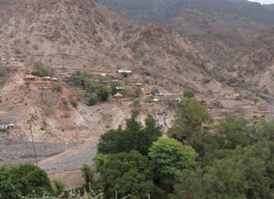 djibouti/tadjourah-region/landmark/day-forest-national-park