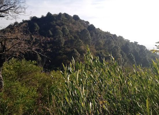 pakistan/rama-valley/landmark/daman-i-koh
